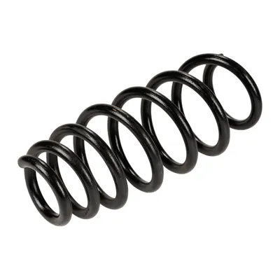 Spiral spring