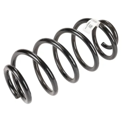 Coil spring rear