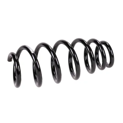 Front suspension spring