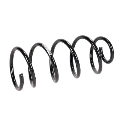 Rear suspension spring
