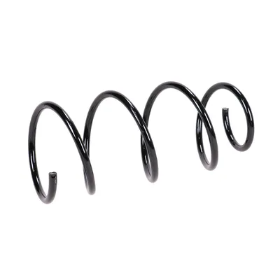 Rear suspension spring