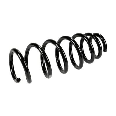 Front suspension spring