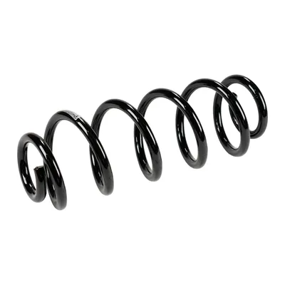 Rear suspension spring