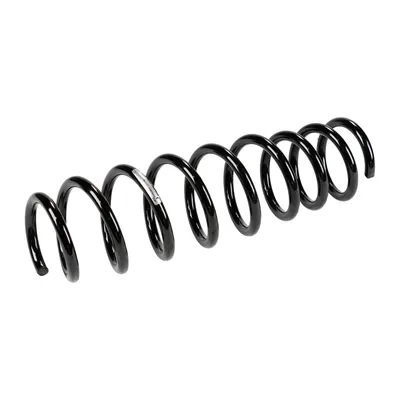 Rear suspension spring