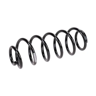 Rear suspension spring