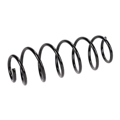 Rear suspension spring