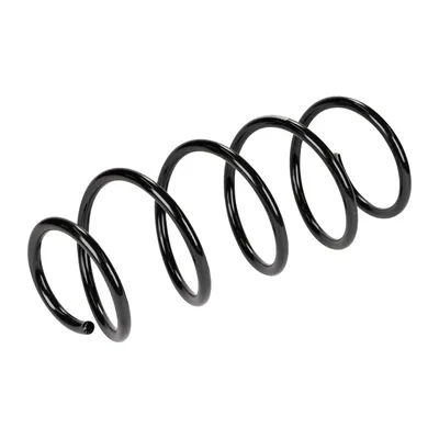 Front suspension spring