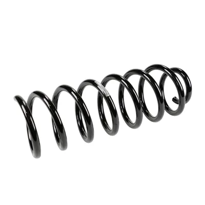 Front suspension spring