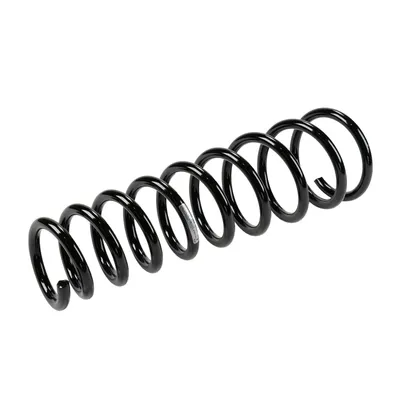Front suspension spring
