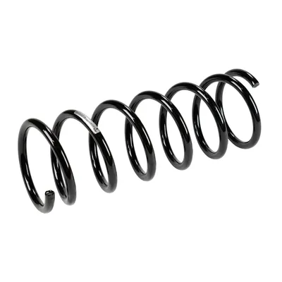 Rear suspension spring