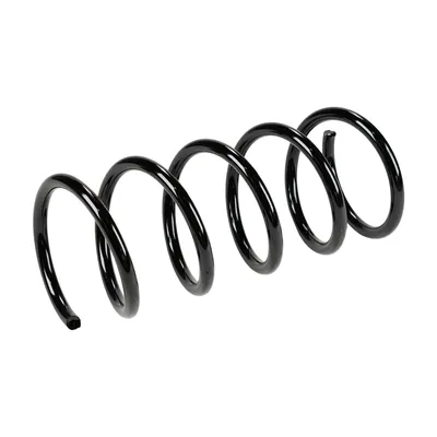 Rear suspension spring