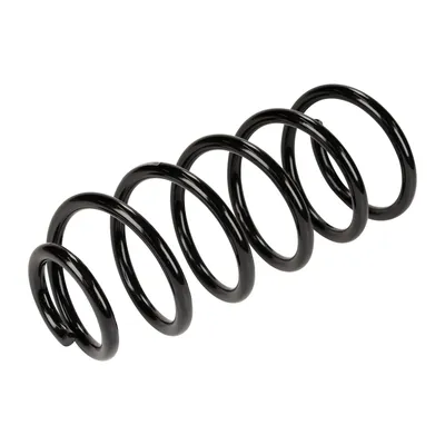 Rear suspension spring