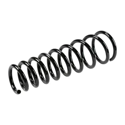 Front suspension spring