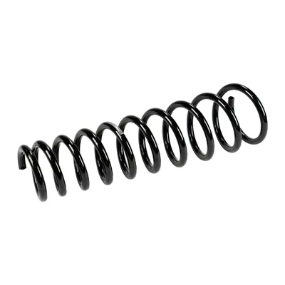 Front suspension spring