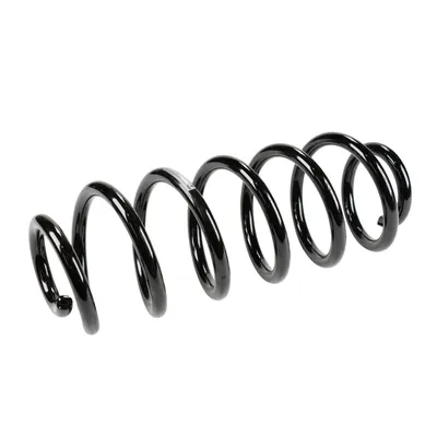 Rear suspension spring