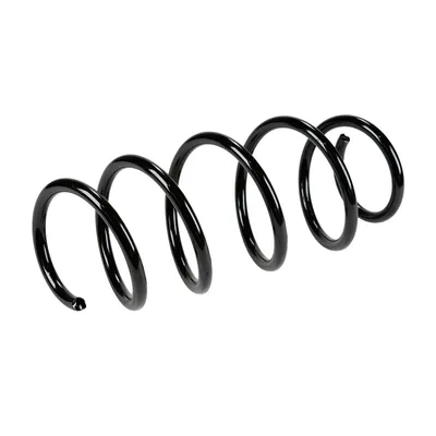 Front suspension spring