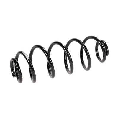 Rear suspension spring