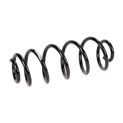 Rear suspension spring