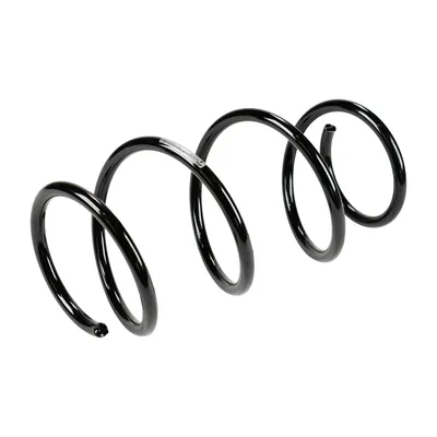 Front suspension spring