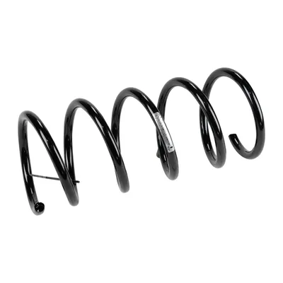 Rear suspension spring