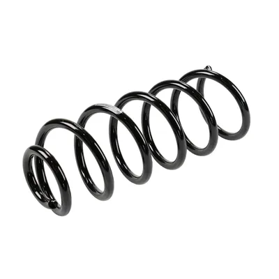 Rear suspension spring