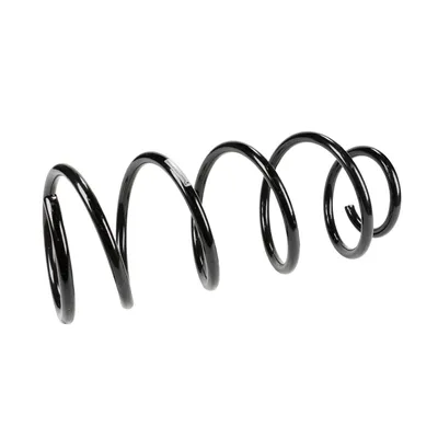 Rear suspension spring