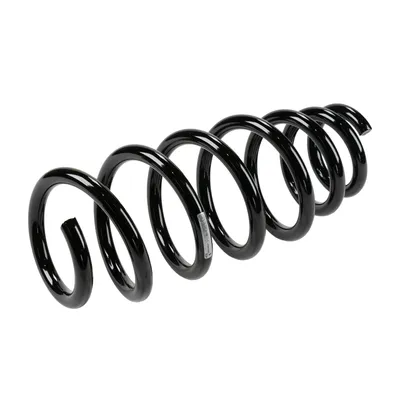 Front suspension spring
