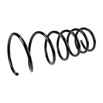 Front suspension spring