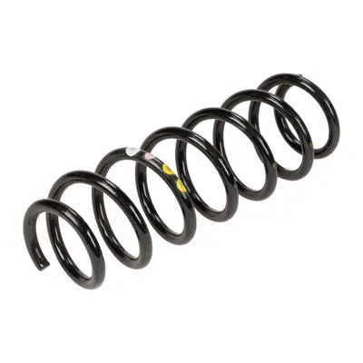 Coil spring rear