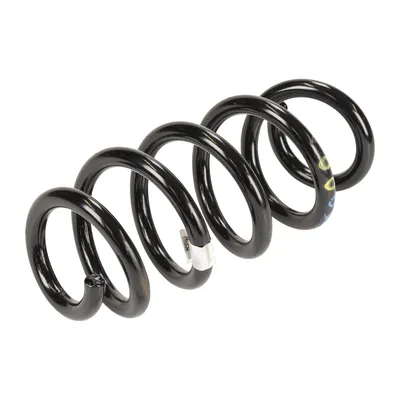 Coil spring rear