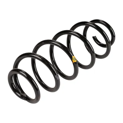 Coil spring rear