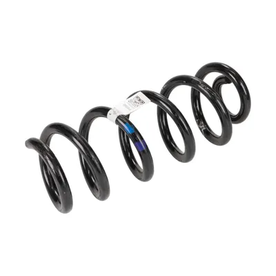 Rear suspension spring