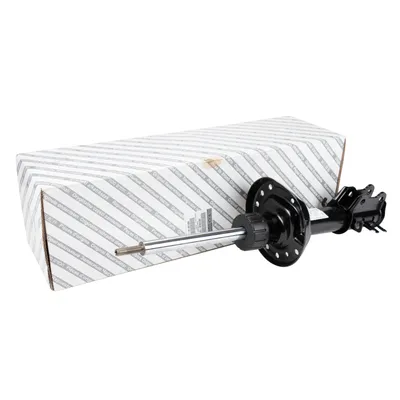 Front left shock absorber gas