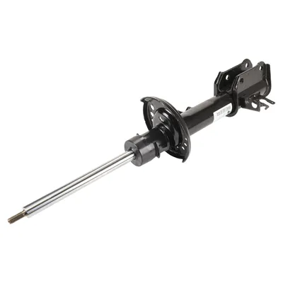 Rear left shock absorber