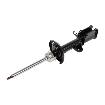 Shock absorber rear right Gas