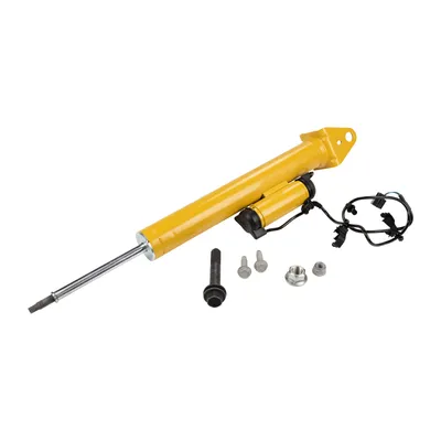 Rear left shock absorber