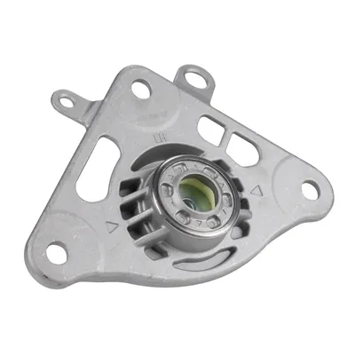 Strut support bearing rear left