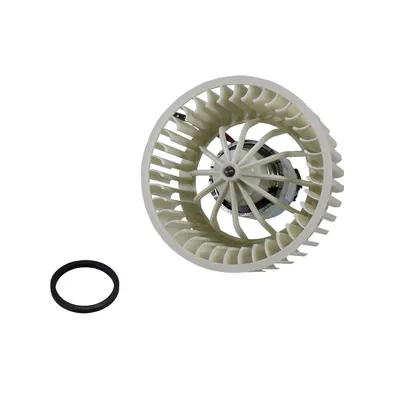 Heater fan motor (motor only)