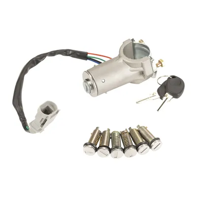 Ignition lock complete with door lock cylinder