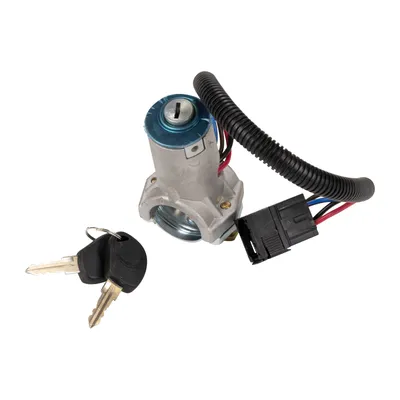 Ignition lock, steering lock