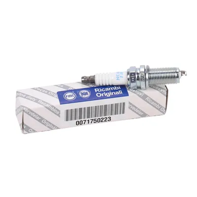 Original spark plug NGK