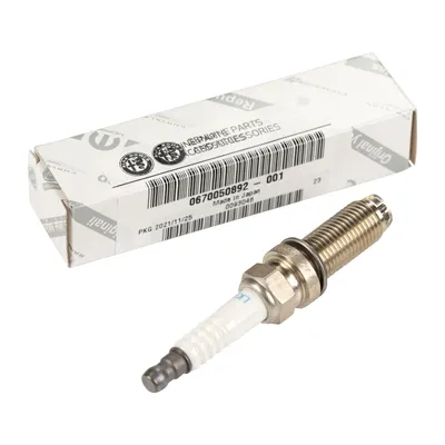 Spark plug original OE(670050892)