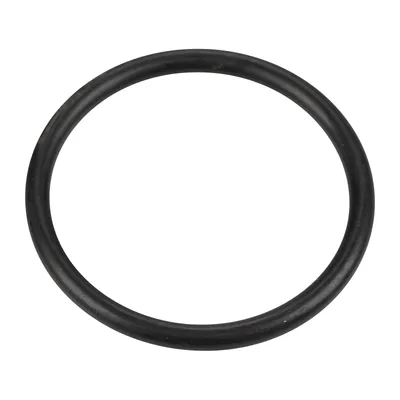 O-ring ignition coil OE (14463980)