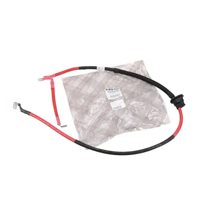 Electrical cable for the battery
