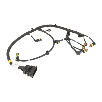 Wiring harness for the Selespeed unit