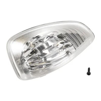 Indicator cap left white in mirror
