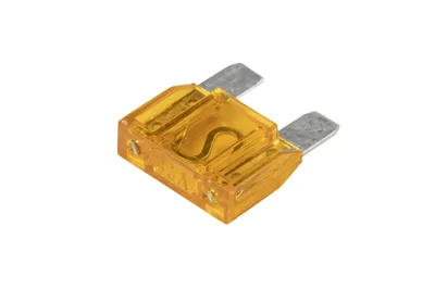 Fuse 40 A large
