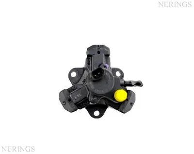 Diesel high pressure pump remanufactured(Bosch)-Nērings