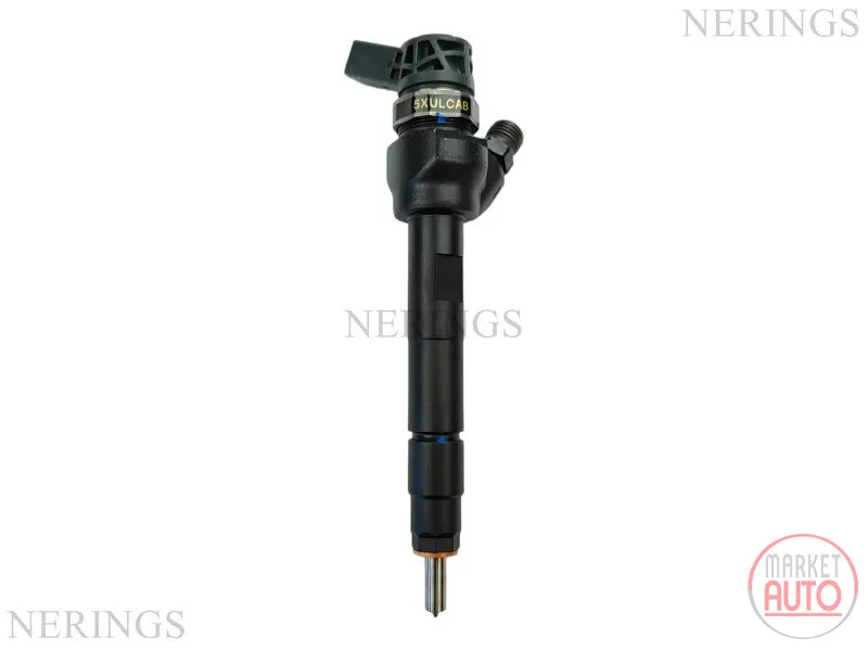 Diesel injectors remanufactured-Nērings