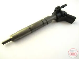 Diesel injectors remanufactured - Nērings